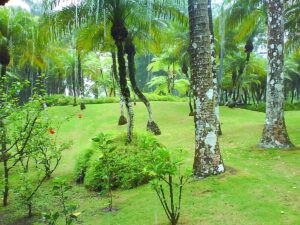 Villa Kamarev La Martinique, petit bout de paradis
