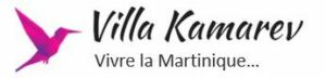 Villa Kamarev cropped-logo-v1.jpg