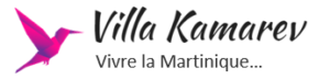 Villa Kamarev cropped-logo-v1.png