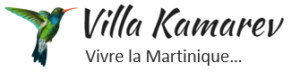 Villa Kamarev cropped-logo-v2.png