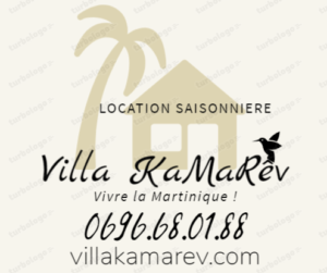 Villa Kamarev nouveau