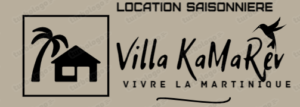 Villa Kamarev nouveau logo