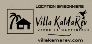 Villa Kamarev nouveau logo